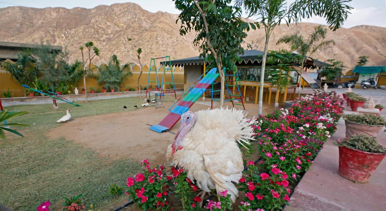 Serene Aravali Resort, Pushkar Exterior photo